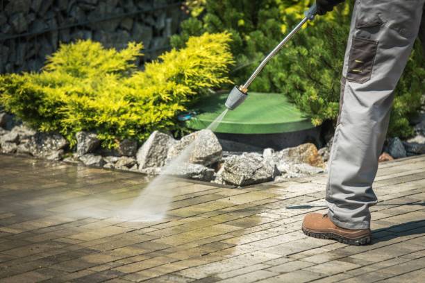 Best Spring Cleaning  in Fruitridge Pocket, CA