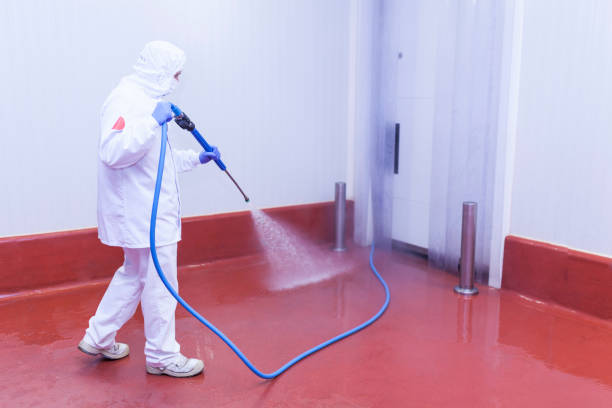 Best Solar Panel Cleaning  in Fruitridge Pocket, CA